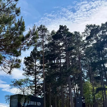Birdbox Forland * Stord
